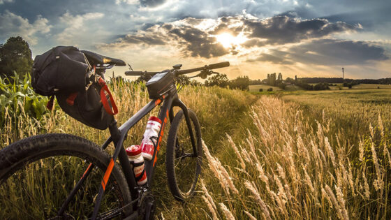 La Strada dei Tre Fiumi, dove la bici segue la cultura del riso