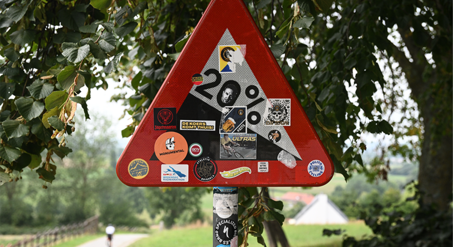 Ultimate Flanders 525