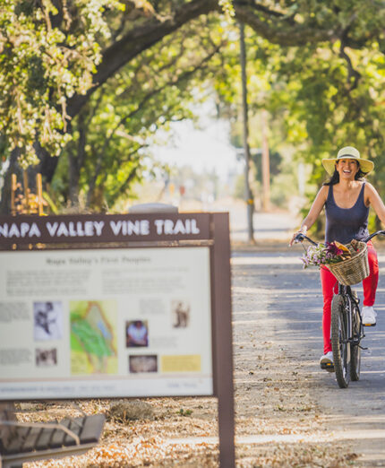 La Napa Valley è un luogo privilegiato per le bici, in mezzo ai vigneti di uve importate dal Chianti
