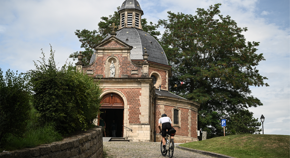 Ultimate Flanders 525