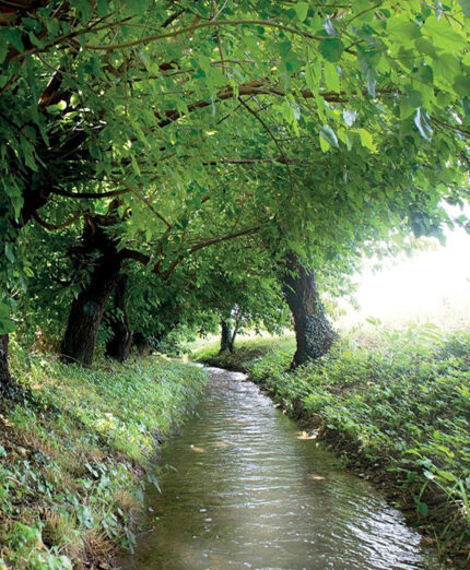 Il Roiello di Pradamano, un torrente che ha sempre avuto grande peso per l'agricoltura locale