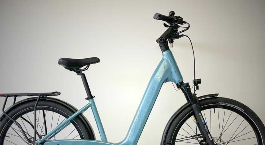 La Crystal, altro prodotto di punta della gamma WD99, armoniosa e adatta davvero a tutti