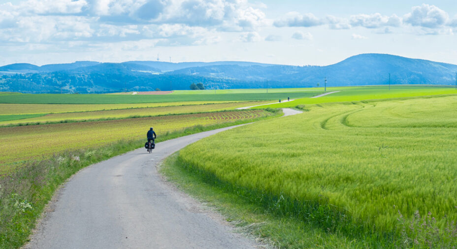 Non mancano i percorsi ciclabili: la Foresta Nera e le sue vette sono sullo sfondo
