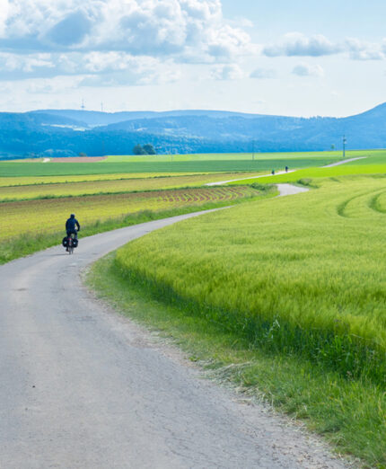 Non mancano i percorsi ciclabili: la Foresta Nera e le sue vette sono sullo sfondo