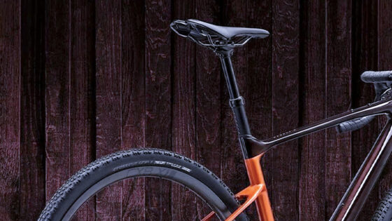 reggisella telescopico