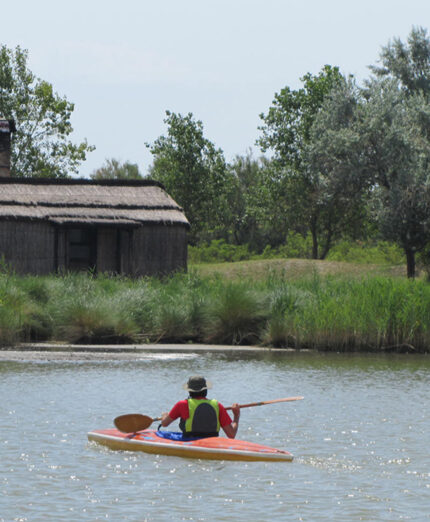 Uscite in kayak ma anche birdwatching, escursioni in motonave e tanto altro nelle proposte della Lanterna del Delta