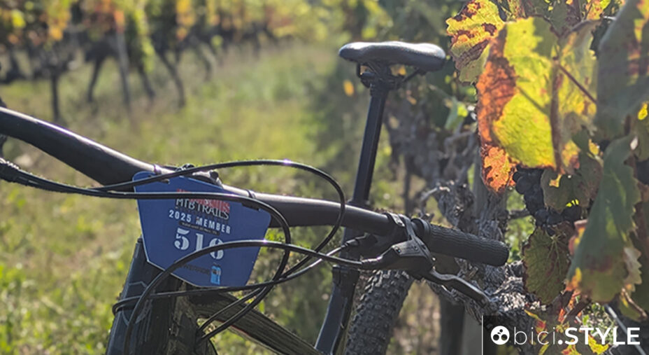 Per pedalare sui trail di Hermanus è necessario avere il “permit” che autorizza il transito sui fondi privati