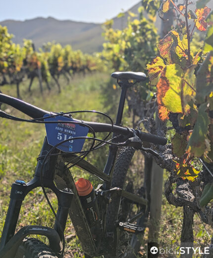 Per pedalare sui trail di Hermanus è necessario avere il “permit” che autorizza il transito sui fondi privati