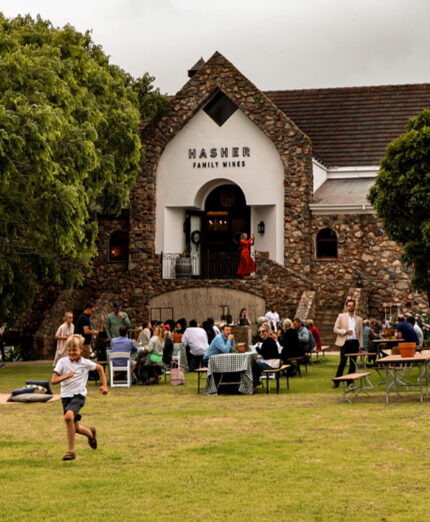 Marco Tonti si trova in sudafrica per la vendemmia presso la cantina Hasher Family House (foto Hermanus Tourism)