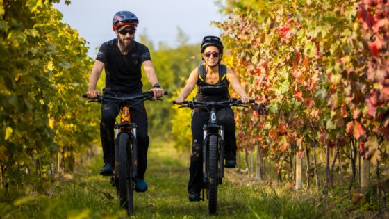 Strade delle Mele Pinerolese (foto di Giorgio Gulmini)