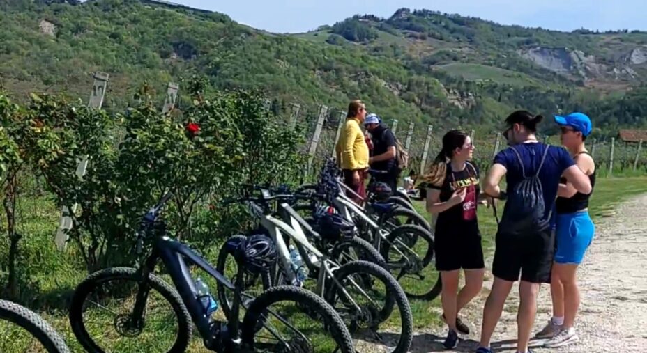 Passi e Parole di Vino, Mercato Saraceno, DMC Valli del Savio