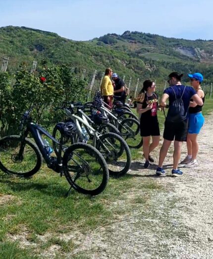 Passi e Parole di Vino, Mercato Saraceno, DMC Valli del Savio