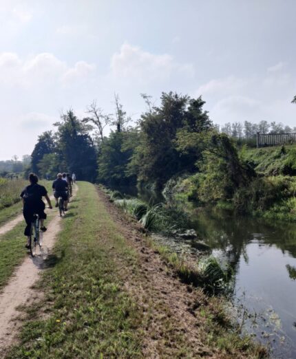 Ciclopacciada, Lombardia, Pavia, Oltrepò Pavese