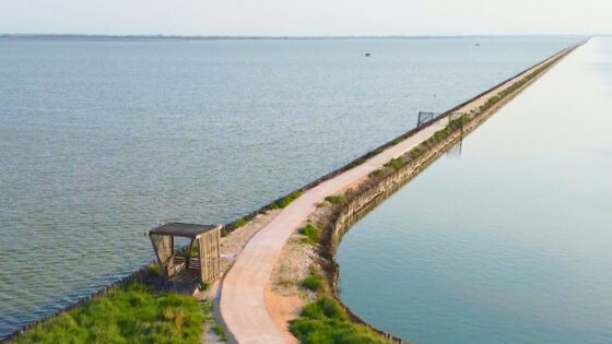 Argine degli Angeli, il Delta del Po come non si era mai visto
