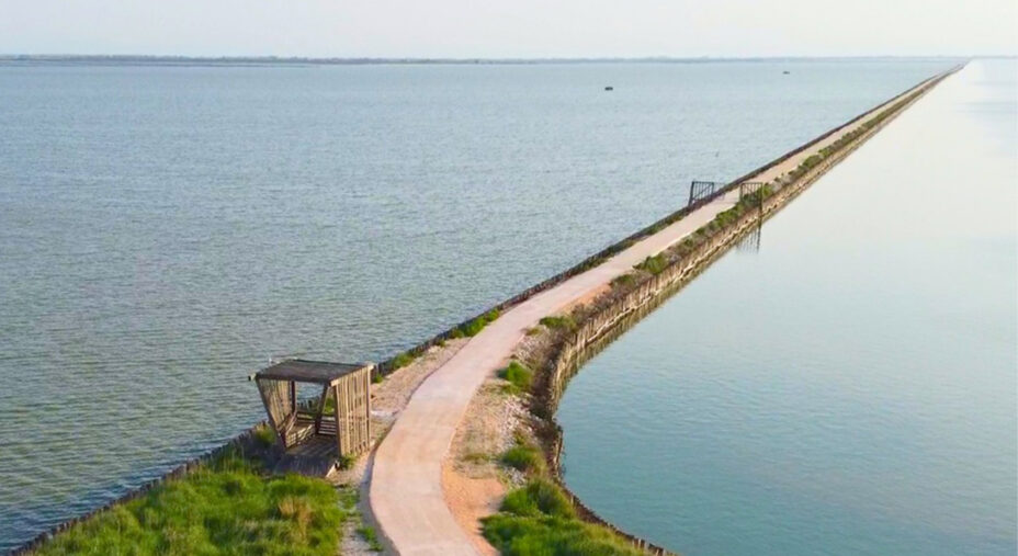 Argine degli Angeli, il Delta del Po come non si era mai visto