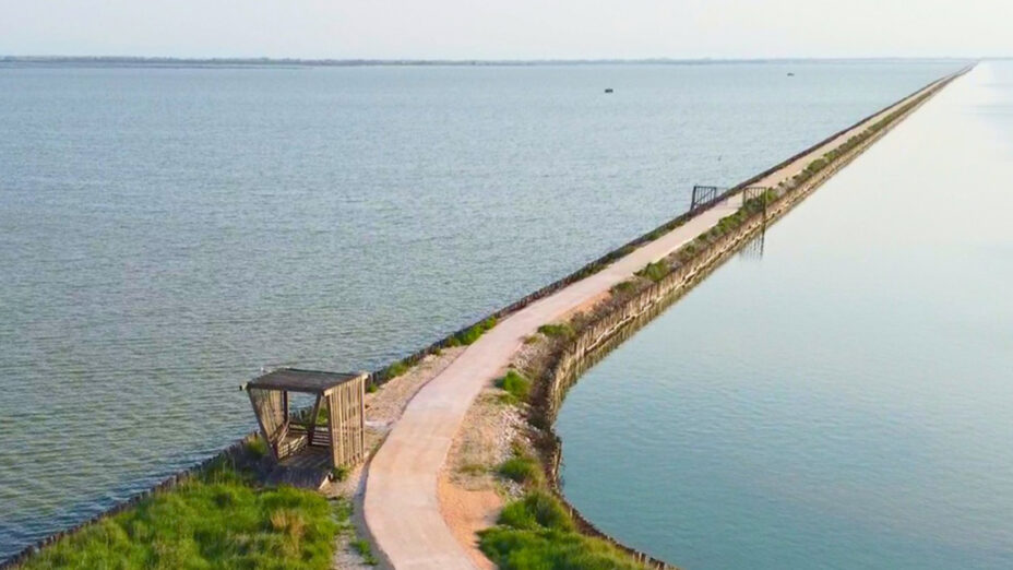 Argine degli Angeli, il Delta del Po come non si era mai visto