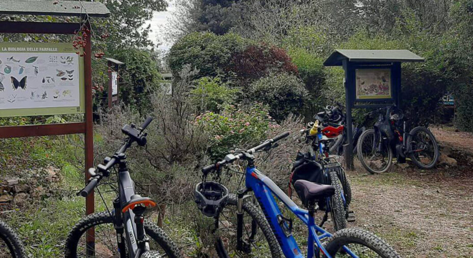 Orbetello e la sua oasi WWF è l'approdo ideale del lungo tragitto, per un bagno nella natura e nella fauna locale