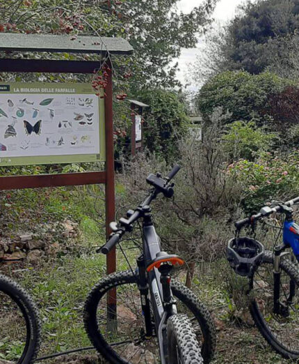 Orbetello e la sua oasi WWF è l'approdo ideale del lungo tragitto, per un bagno nella natura e nella fauna locale