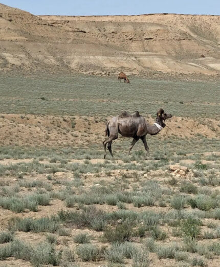 Il deserto del Mangystau, con colori diversi da quelli tipici delle distese sabbiose