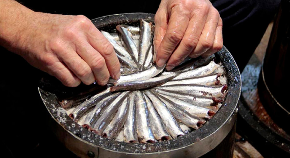 La colatura si ottiene mettendo le alici sotto sale per lunghi periodi (doto Alici di cetara)