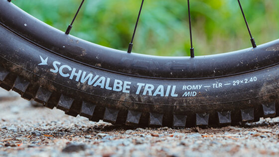 Schwalbe Romy, lo pneumatico trail con il divertimento integrato