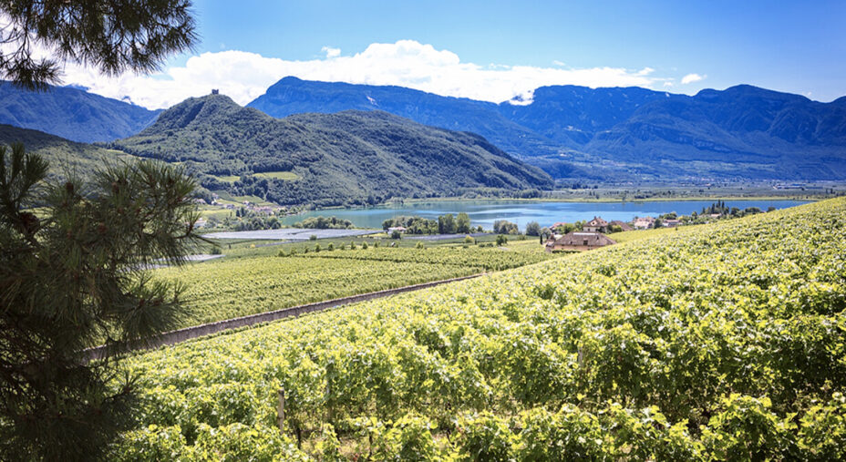 Una veduta del Lago di Caldario incastonato tra meleti e vigneti (foto ANdrea Prott - Dolomiti.it)