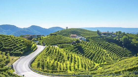 Colline Prosecco (foto stayinveneto)