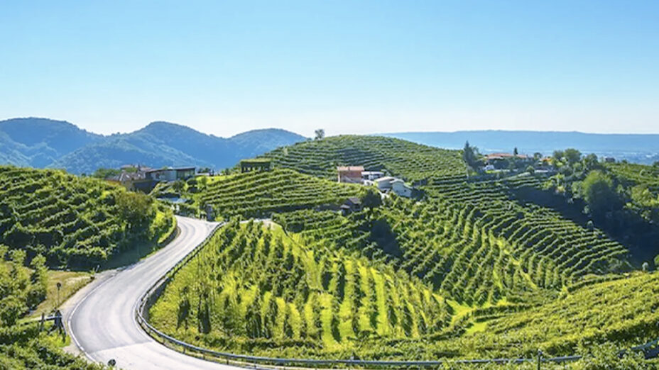 Colline Prosecco (foto stayinveneto)