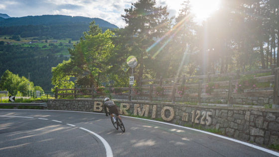 Bormio, Stelvio, estate (foto Enrico Bigno Pozzi)