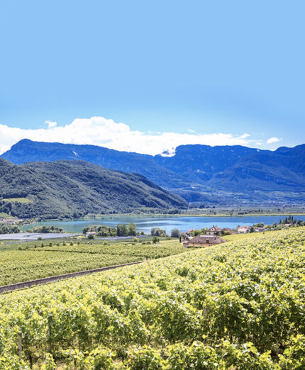 Una veduta del Lago di Caldario incastonato tra meleti e vigneti (foto ANdrea Prott - Dolomiti.it)