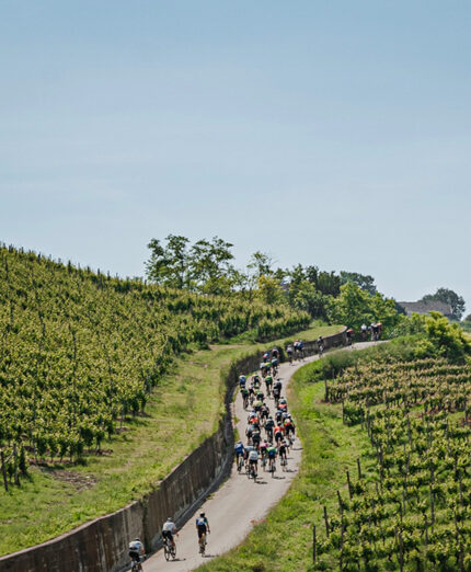 Organizzare una granfondo? Complicato ed il valore della passione fa la differenza