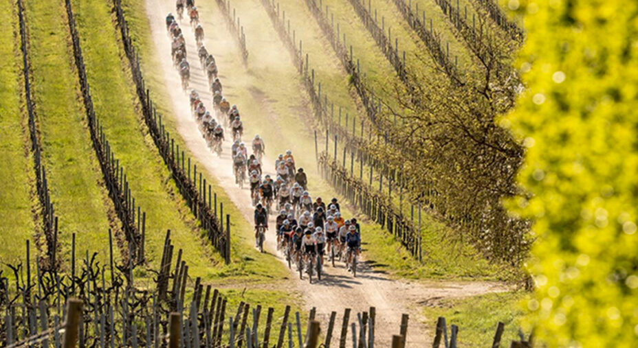Le Colline del Prosecco sono state los cenario ideale per il gravel (foto The Hills Gravel Race)