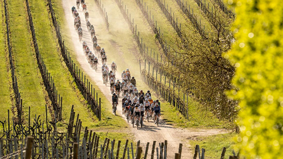 Le Colline del Prosecco sono state los cenario ideale per il gravel (foto The Hills Gravel Race)