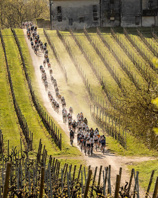 Le Colline del Prosecco sono state los cenario ideale per il gravel (foto The Hills Gravel Race)