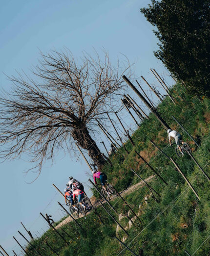 Pendenze niente affatto tenere, che hanno messo alla prova i partecipanti sul percorso unico da 120 km (foto Diego Del Favero)