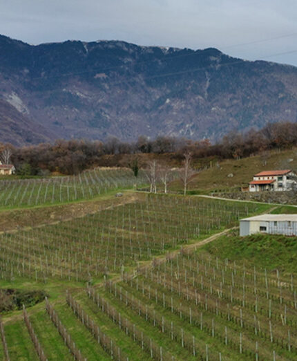 Agriturismo San Maman Bruseghin