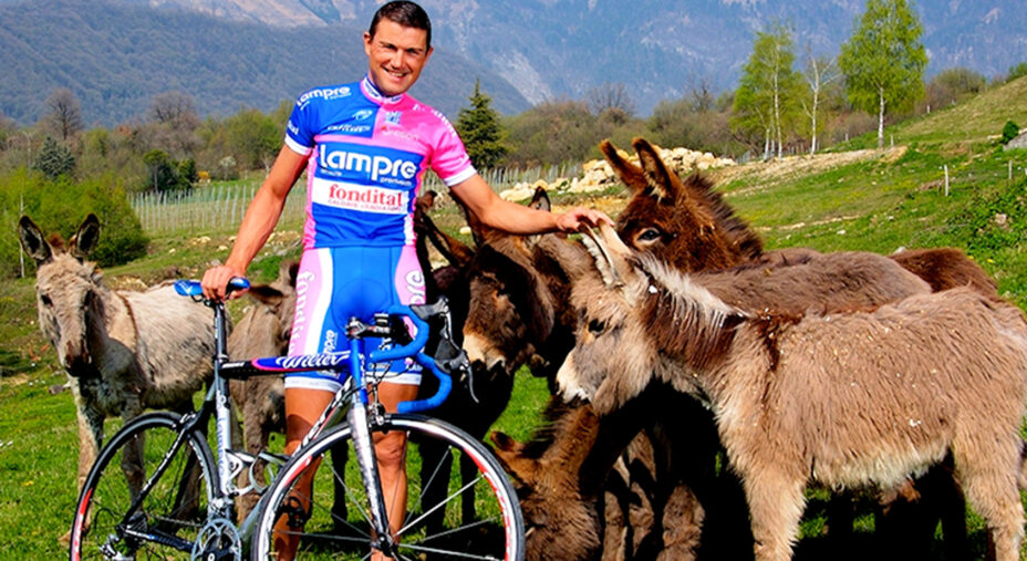 Bruseghin Lampre asini