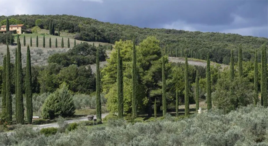 Una vasta rete di trail è disegnata nei boschi appartenenenti alla struttura maremmana
