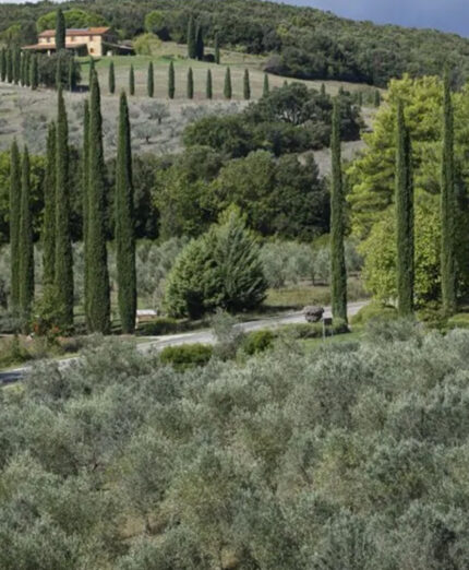 Una vasta rete di trail è disegnata nei boschi appartenenenti alla struttura maremmana