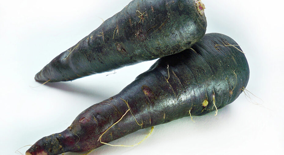 La carota nera (o viola) è antenata di quella arancione. Deve il colore alle antocianine, utili per la circolazione e il benessere cardiovascolare (depositphotos.com)
