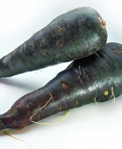 La carota nera (o viola) è antenata di quella arancione. Deve il colore alle antocianine, utili per la circolazione e il benessere cardiovascolare (depositphotos.com)