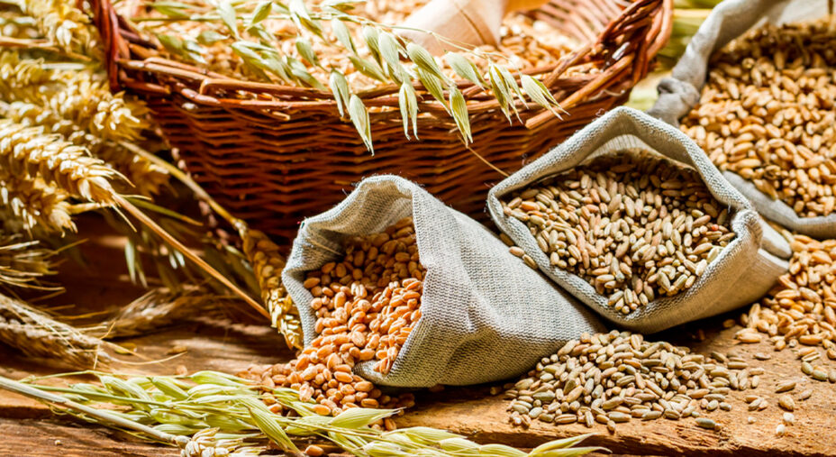 Cereali, alimentazione (depositphotos.com)