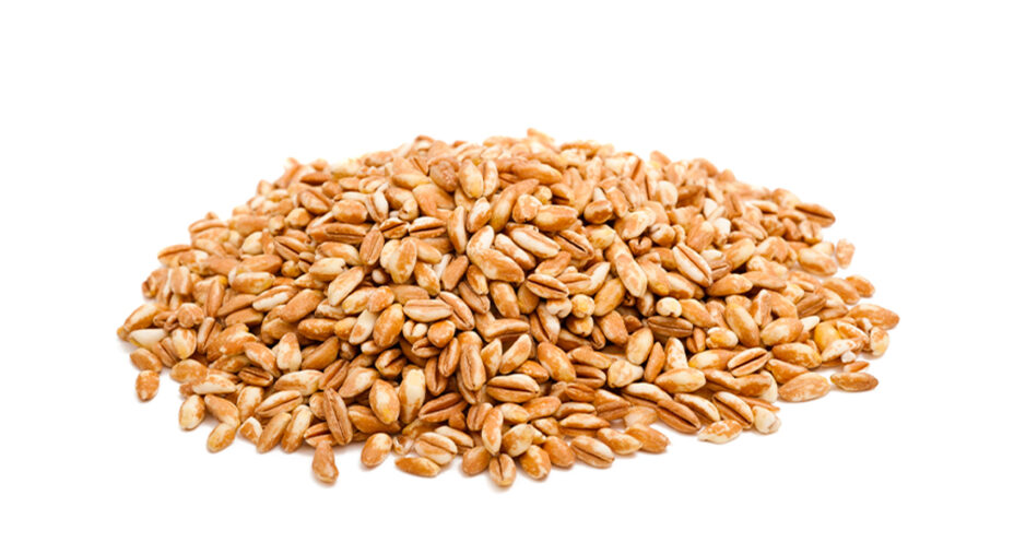 Il farro, ricco di fibre, è un tipico esempio di cereali integrali (depositphotos.com)