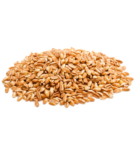 Il farro, ricco di fibre, è un tipico esempio di cereali integrali (depositphotos.com)