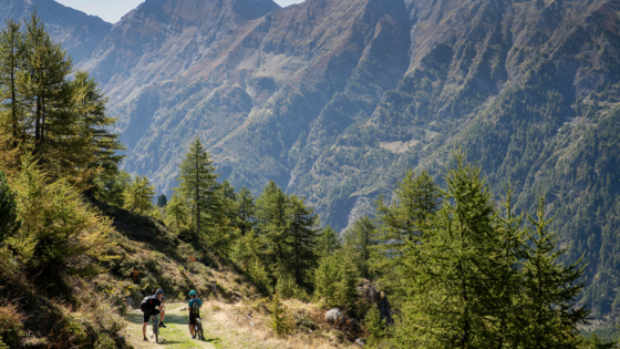 Upslowtour, mountain bike (foto Paolo Ciaberta)