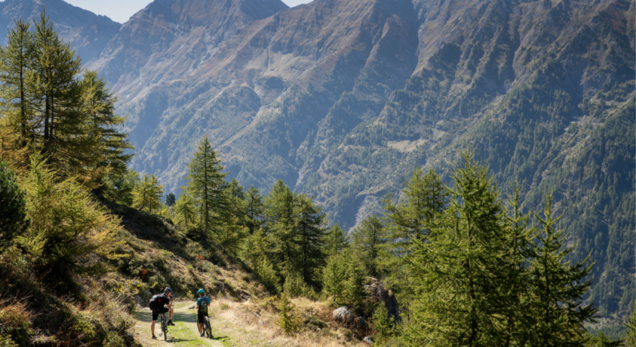 Upslowtour, mountain bike (foto Paolo Ciaberta)