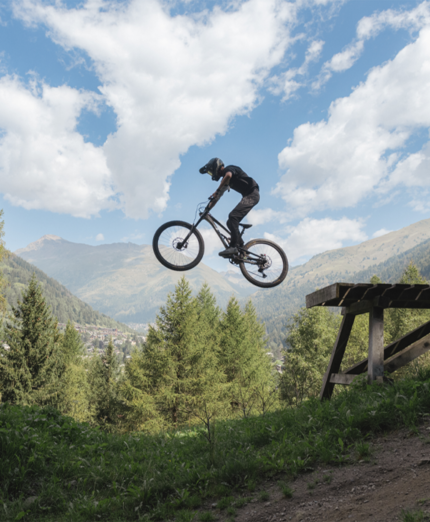 Ponte di Legno, mtb, bike park (foto Mauro Mariotti)