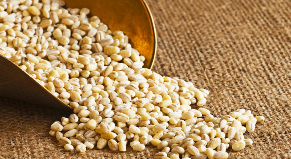 L'orzo si presenza in perle che si possono usare in cucina in svariate combinazioni (depositphotos.com)