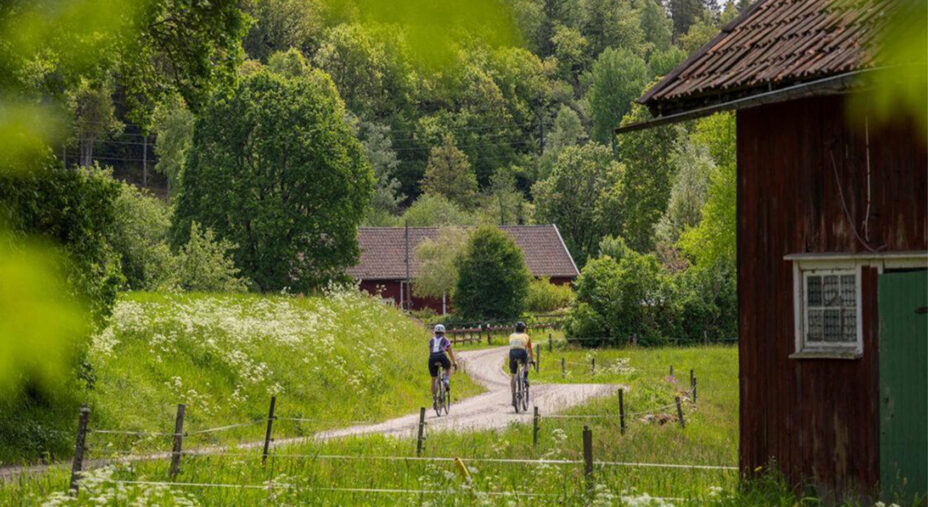 E' una delle novità cicloturistiche del 2026. La Ljungleden sta già attirando frotte di appassionati (foto Amplifyphoto)