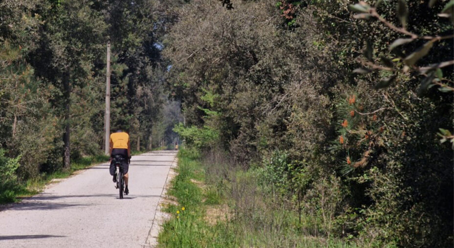 La Ciclovia Tirrenica è parte integrante del tessuto ciclistico di Livorno e collega la città alla vicina Pisa
